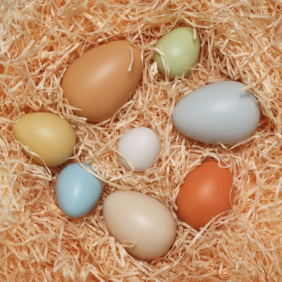 Yellow Door Science | Size-Sorting Eggs