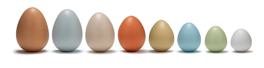 Yellow Door Science | Size-Sorting Eggs