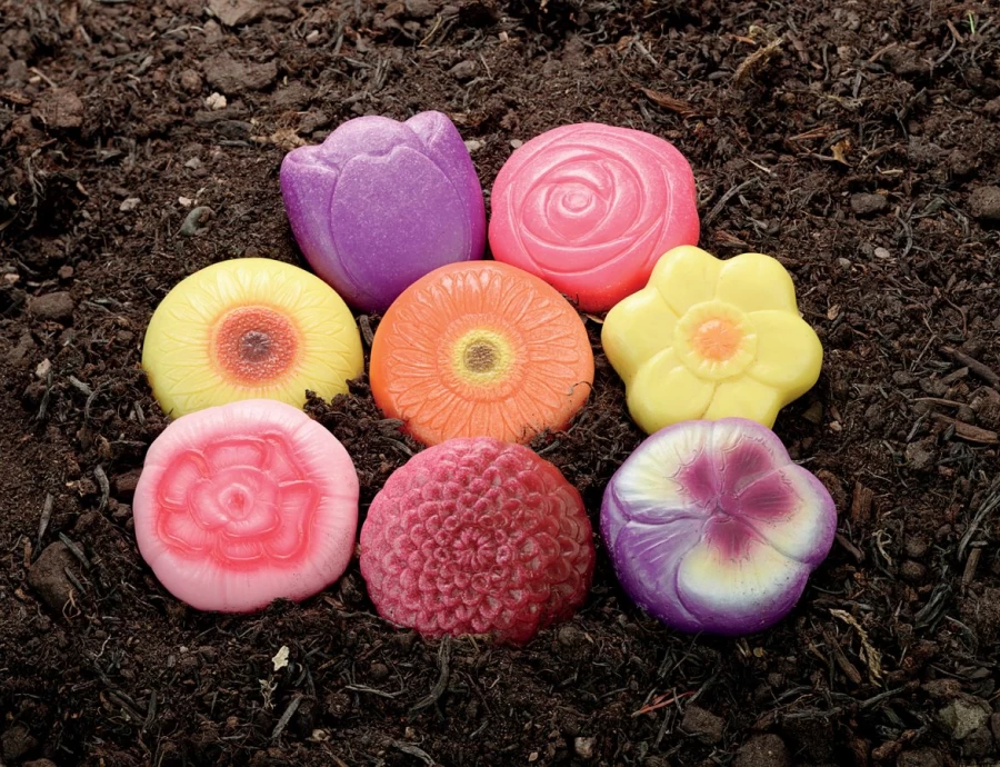 Yellow Door Science | Flowers Sensory Play Stones