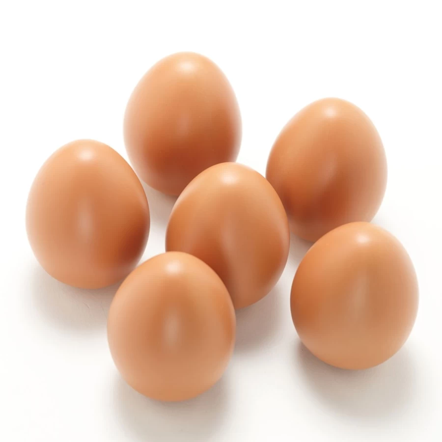 Yellow Door Science | Play Eggs