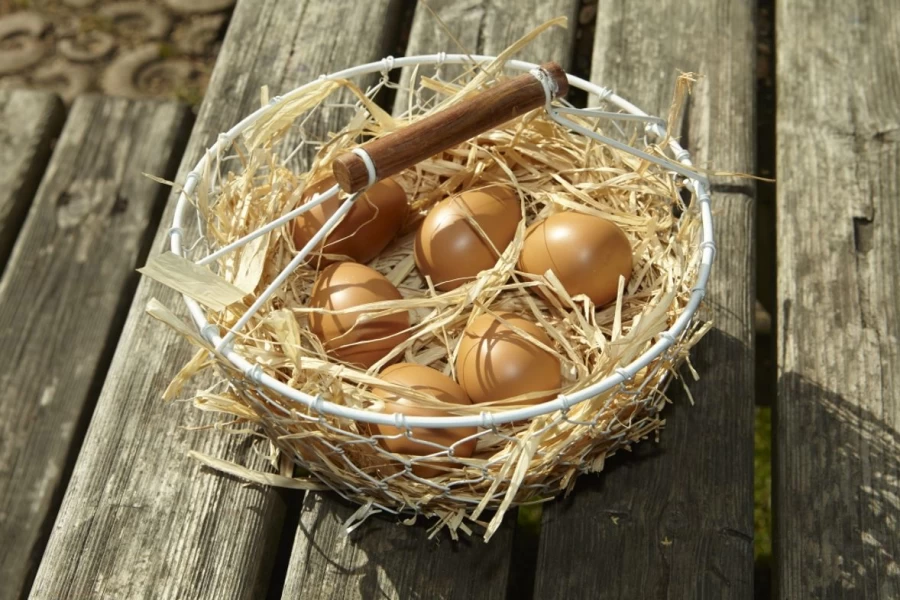 Yellow Door Science | Play Eggs
