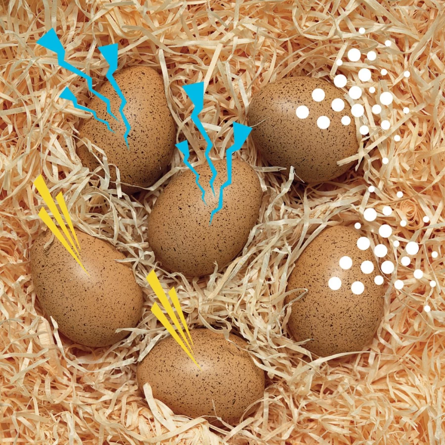Yellow Door Science | Sensory Sound Eggs
