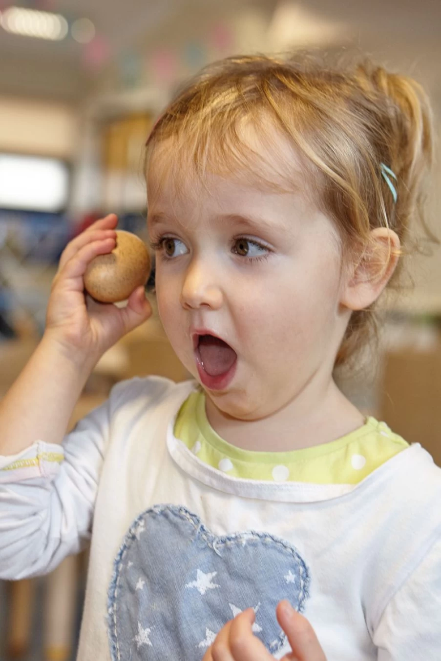 Yellow Door Science | Sensory Sound Eggs