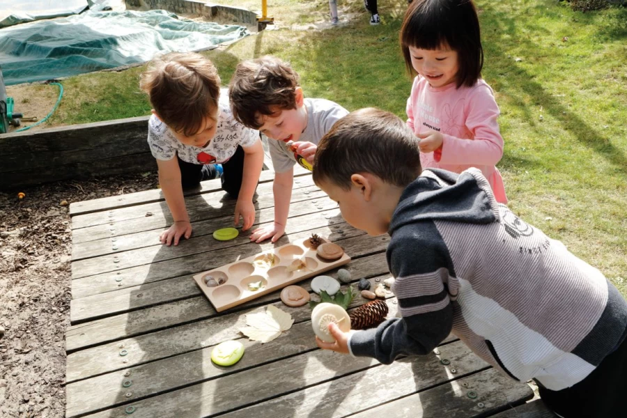 Yellow Door Science | Let'S Investigate Nature