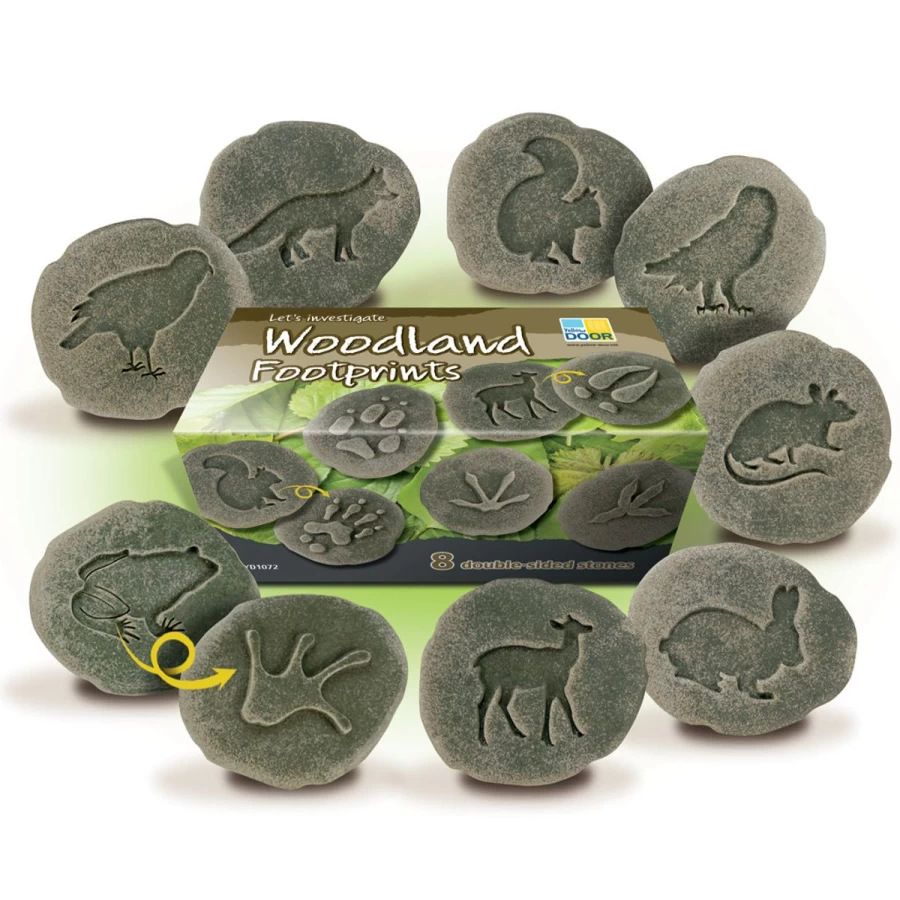 Yellow Door Science | Let'S Investigate Woodland Footprints