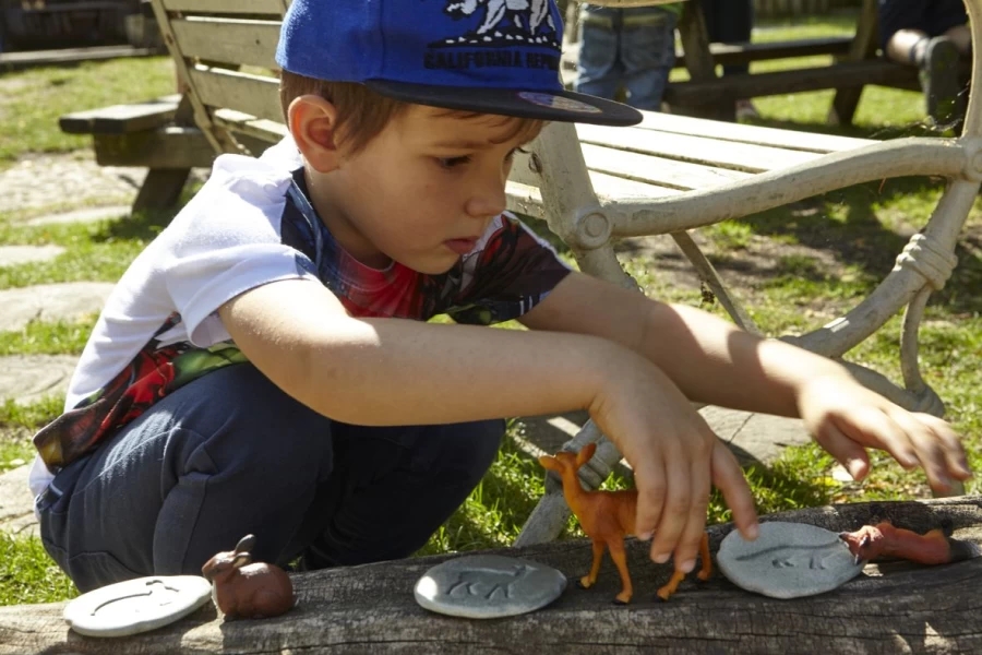 Yellow Door Science | Let'S Investigate Woodland Footprints