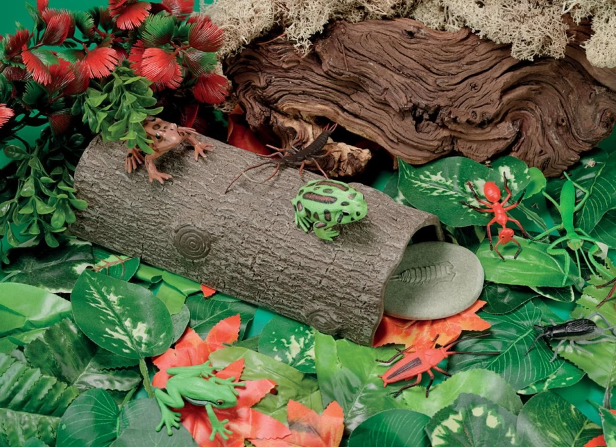 Yellow Door Minibeasts | Hollow Log