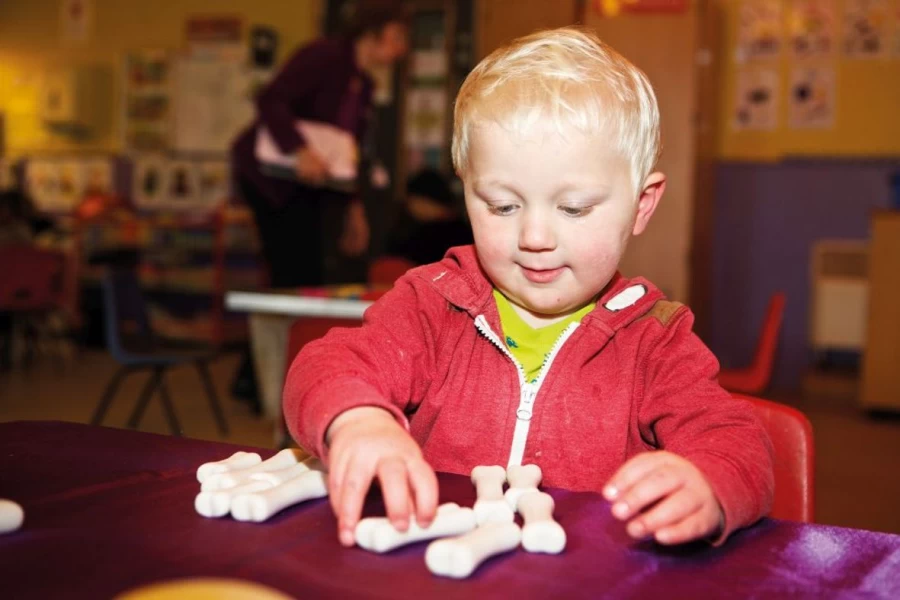 Yellow Door Dinosaurs | Dinosaur Bones Discovery Set