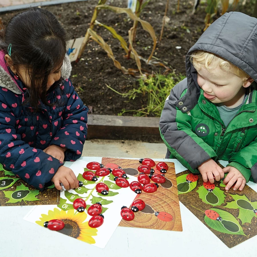 Yellow Door Intervention & Support | Ladybugs Counting Resources