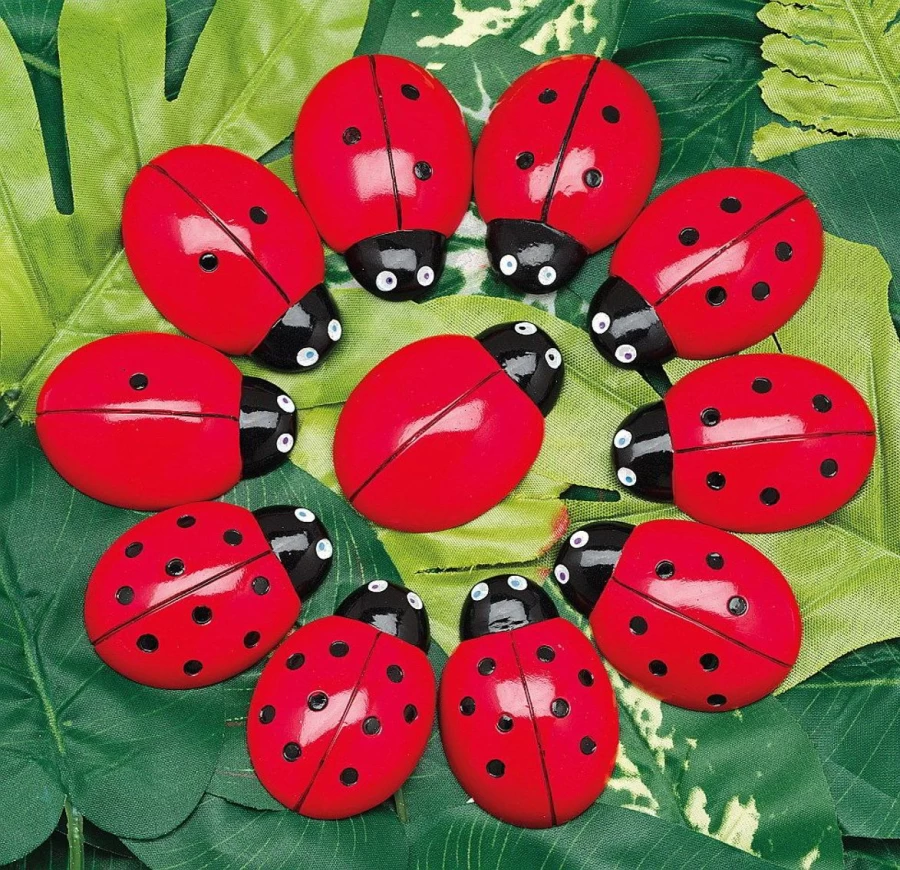 Yellow Door Intervention & Support | Ladybugs Counting Resources