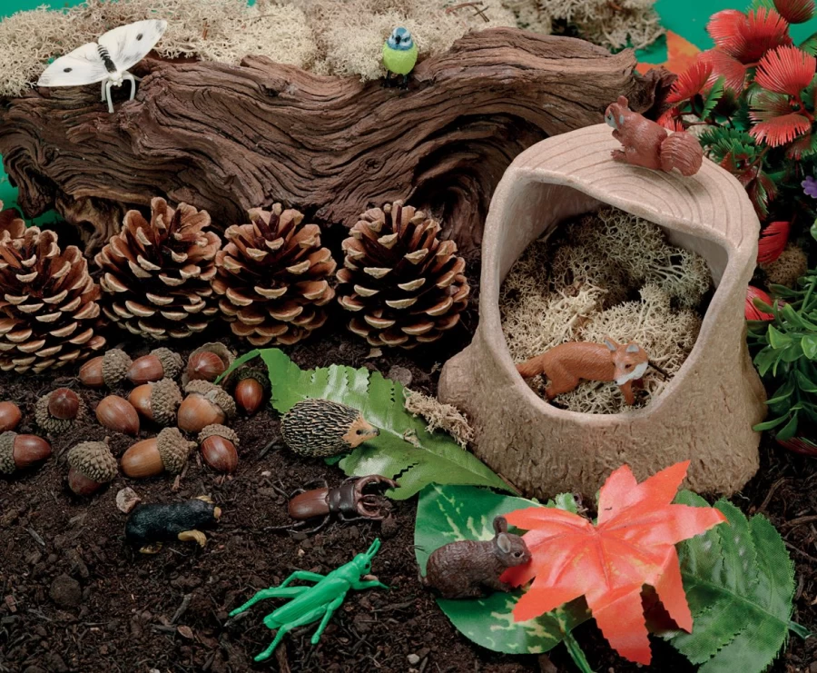 Yellow Door Minibeasts | Tree Stump