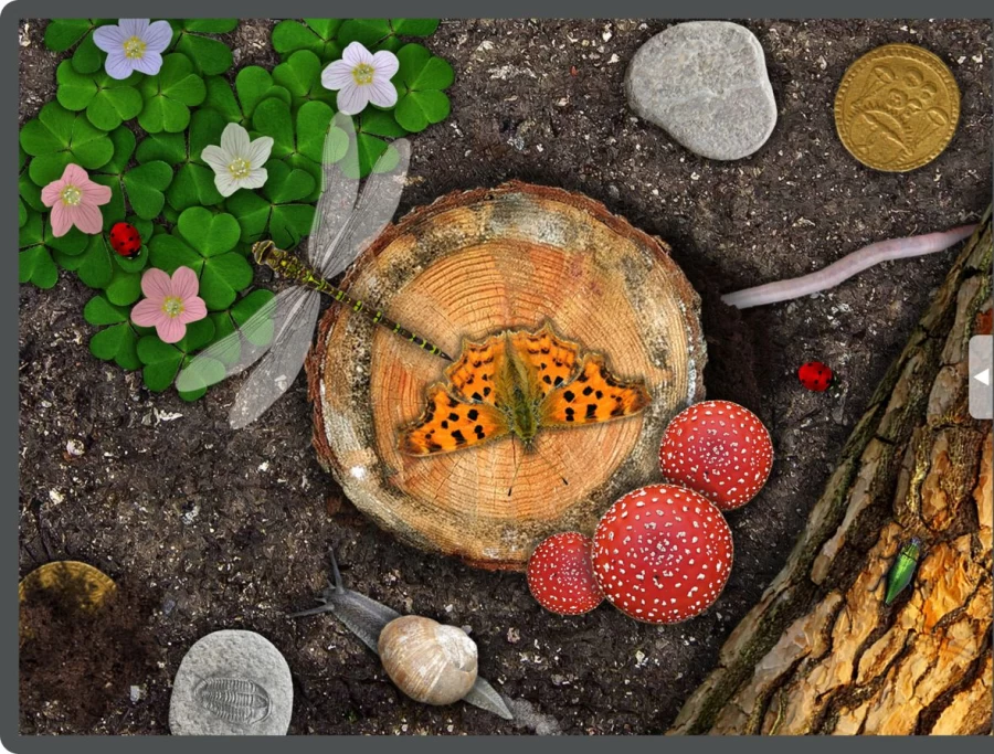 Yellow Door Social & Emotional Development | Sensory Worlds App: Woodland, Rock Pool, Garden