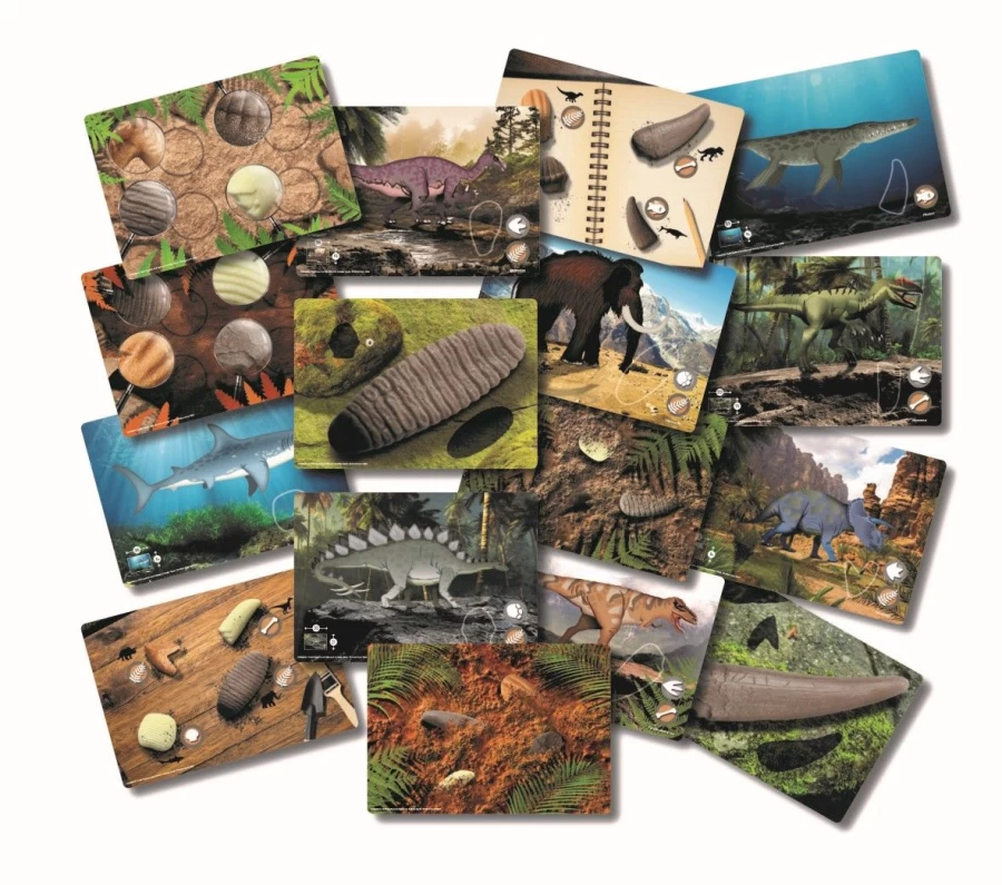 Yellow Door Science | Prehistoric Teeth Explore And Discover Activity Cards