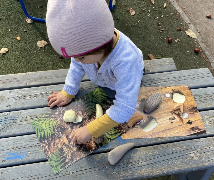 Yellow Door Science | Prehistoric Teeth Explore And Discover Activity Cards