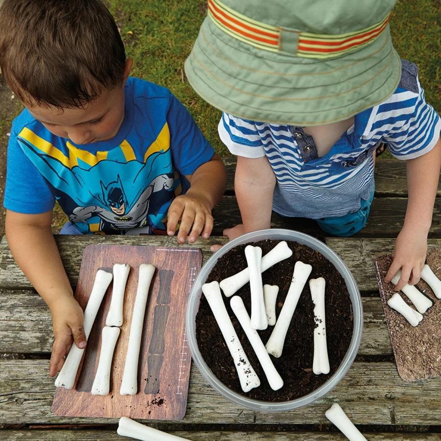 Yellow Door Science | Dinosaur Bones Match And Measure Resources